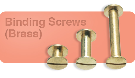 binding screw brass